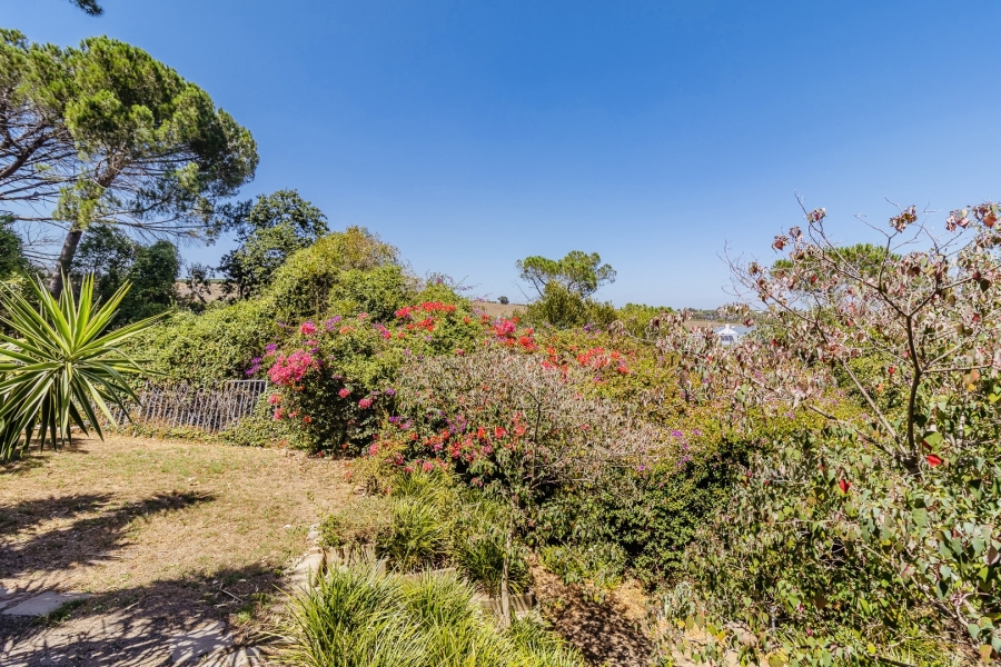 To Let 4 Bedroom Property for Rent in Stellenbosch Central Western Cape